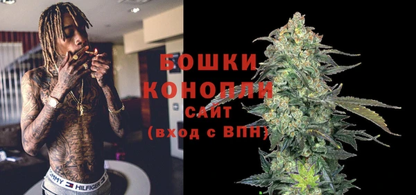 молекула духа Балахна