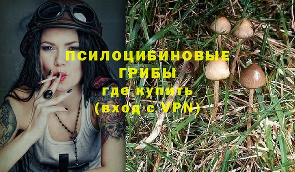 молекула духа Балахна