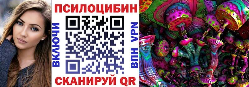 Псилоцибиновые грибы Psilocybe  наркотики  Юрьевец 